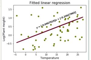 Portfolio for Data Analysis and Reporting | 10+ Years